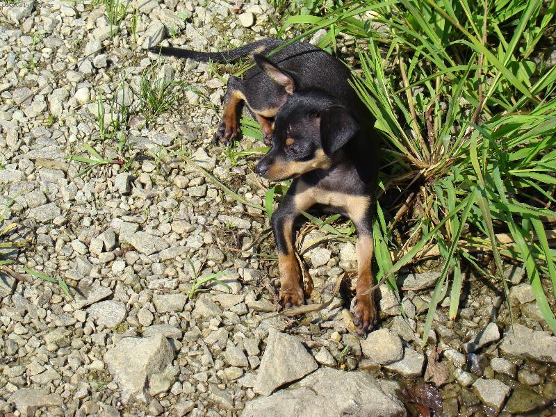 Foto: na ryb�ch-voda