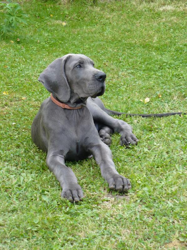 Foto: Buraczek Helza