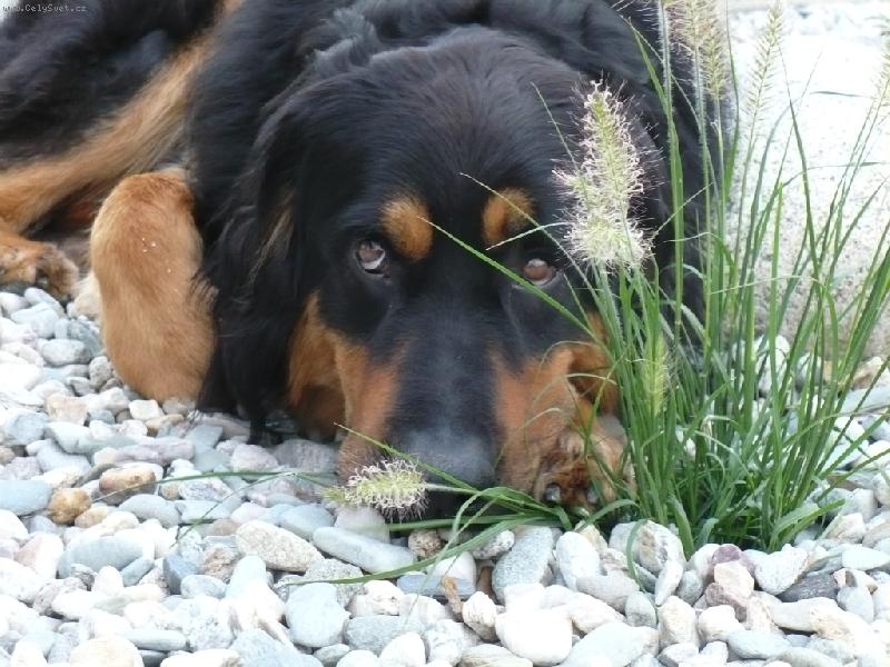 Foto: Co po mn� je�t� chcete..?