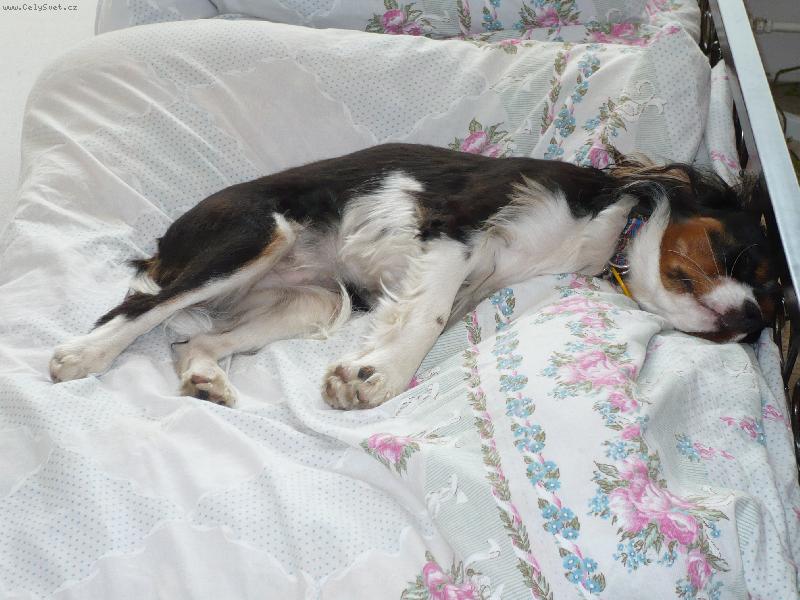 Foto: Sp�m v posteli