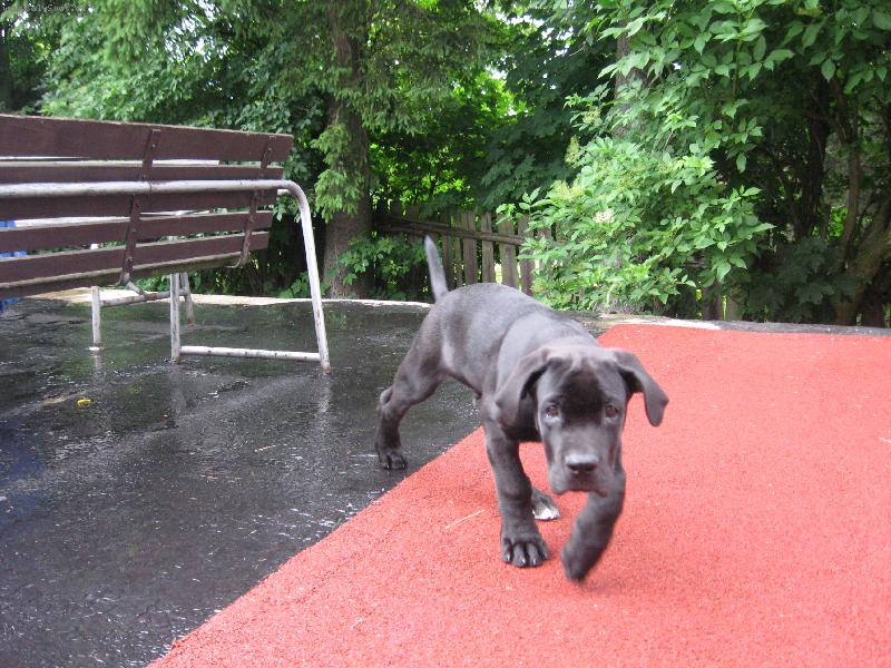 Foto: Sorbon-4m�s�ce