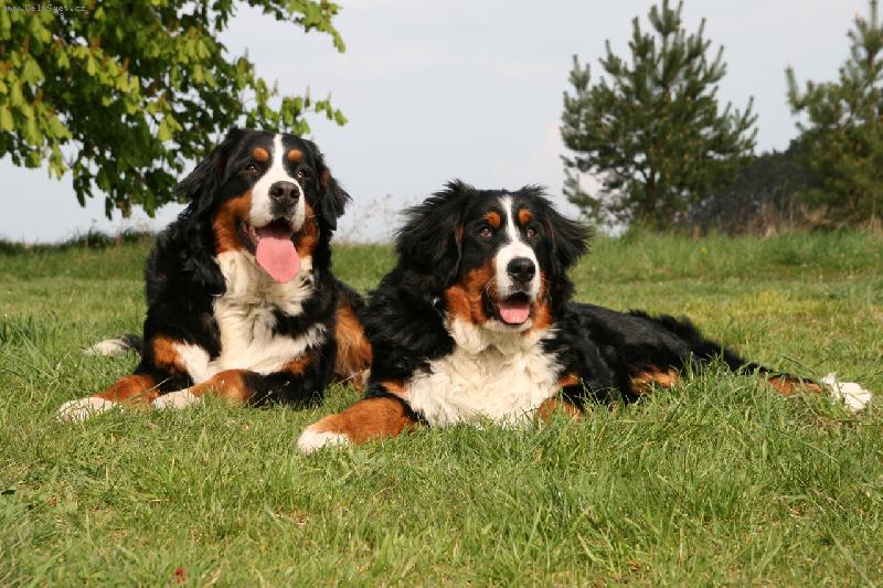 Foto: Elisa a Camillca