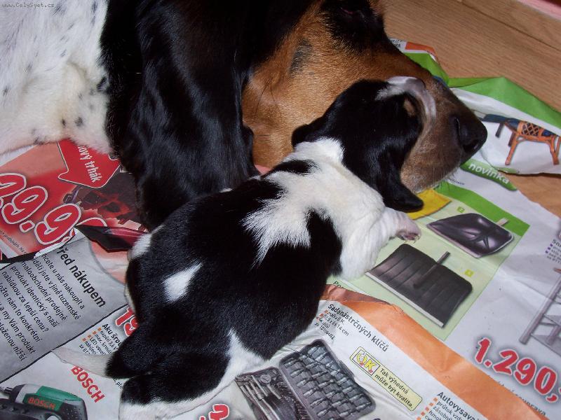 Foto: u maminky je nejl�pe