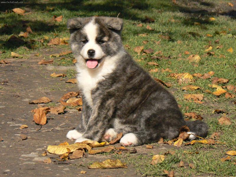 Foto: KAORI TOMIMOPA