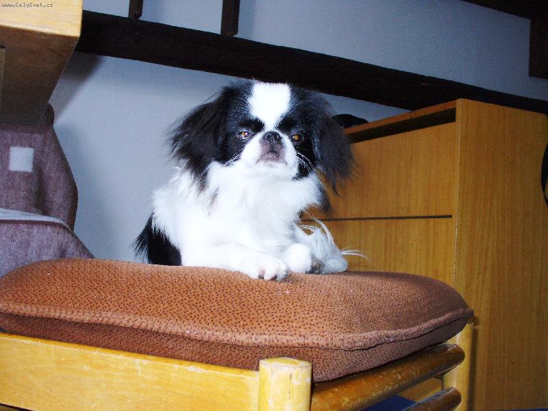 Foto: �IKO-�IKO na dovolen�