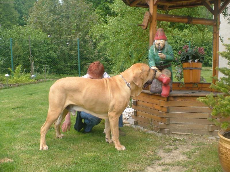 Foto: Bruno Imperio Dorado-Bruno