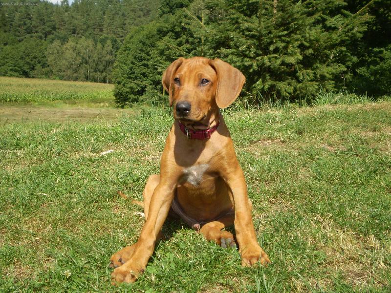 Foto: Largo..kdy� mu byly 3 m�s�ce