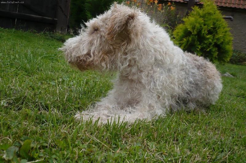 Foto: Arvo-Muj Hafan :-*