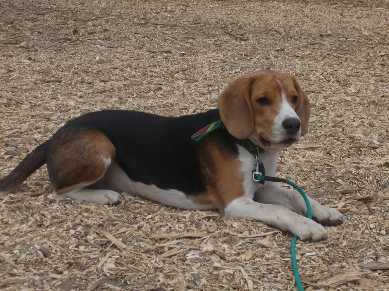 Foto: Billi�ek Olomouc-Bill��ek Olomouc