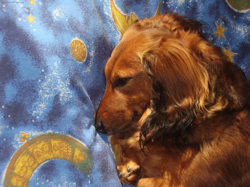 Foto: Nelly sp�-Nelly