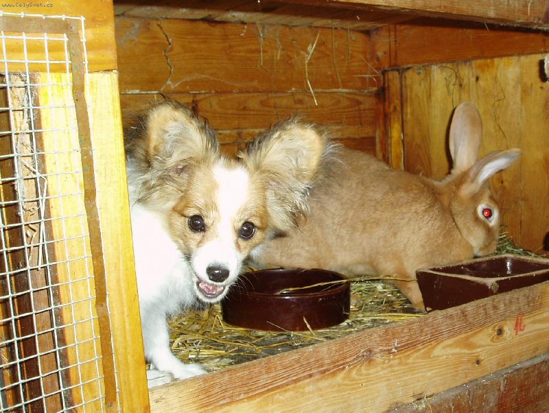 Foto: u�at� kamar�di