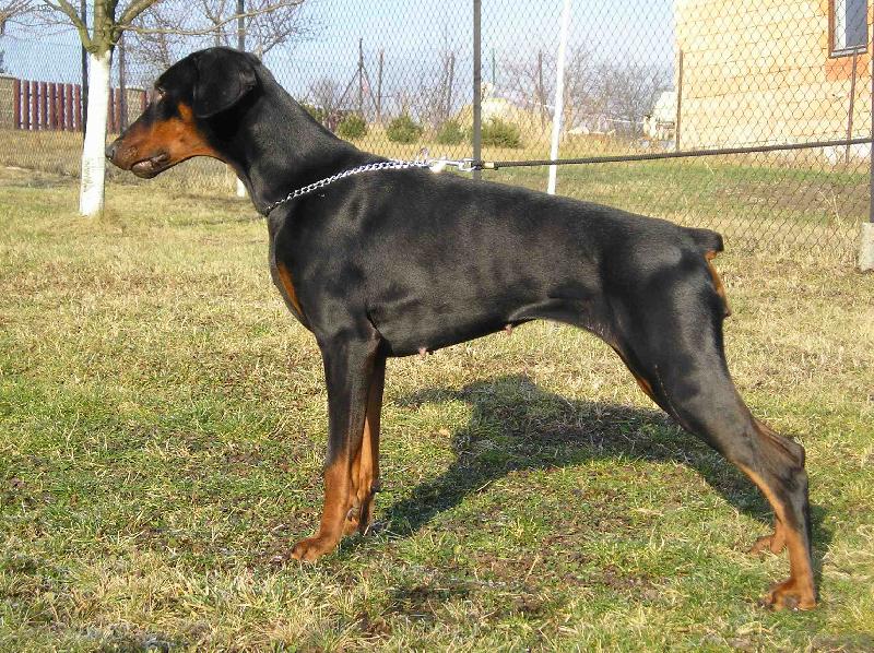 Foto: KIm �erh� tr�n