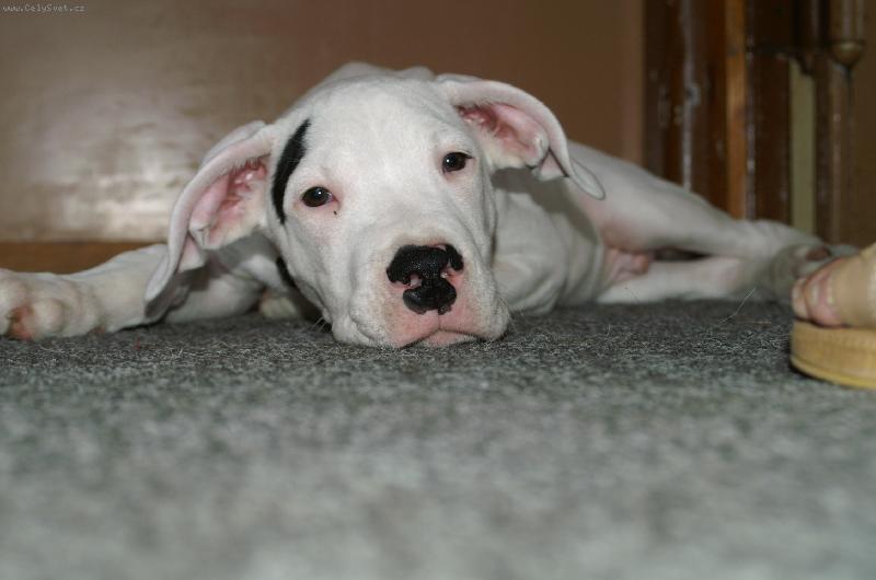 Foto: N� mal� hl�da�