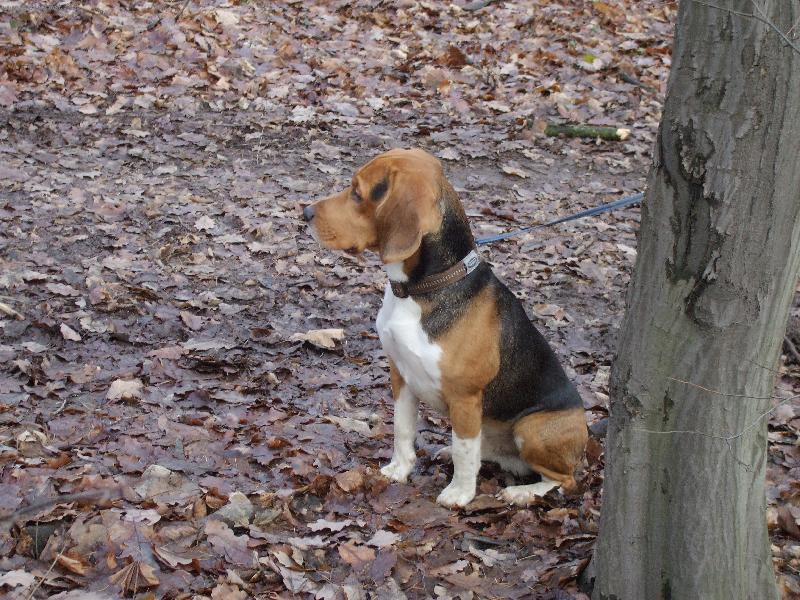 Foto: ��h�n�...