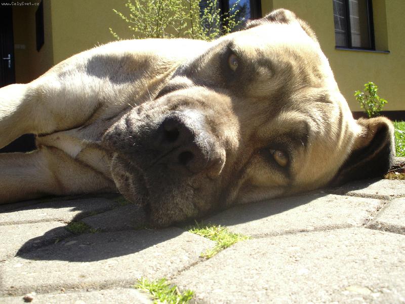 Foto: Anabela-Odpo�inek