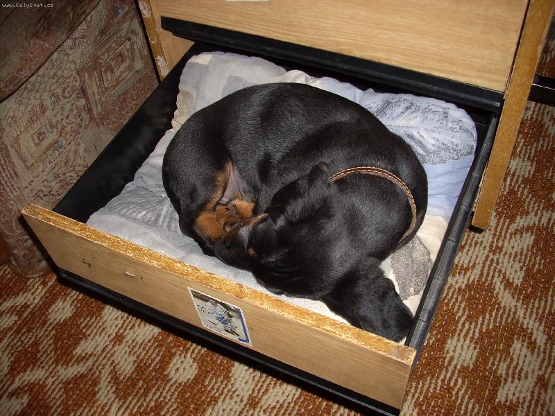 Foto: Filip v pel�ku