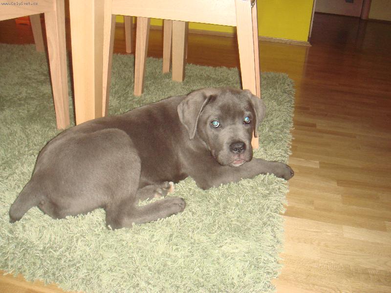 Foto: mal� �r��