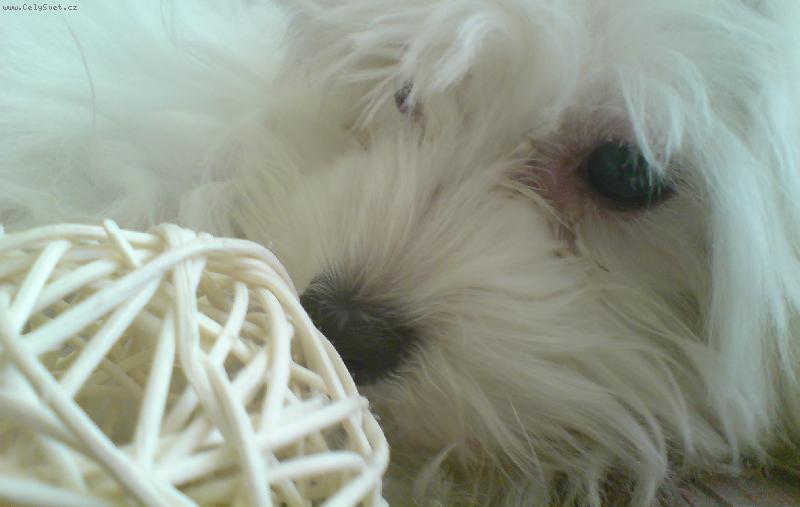 Foto: Na�e 6,5mes��n� Jessule :)