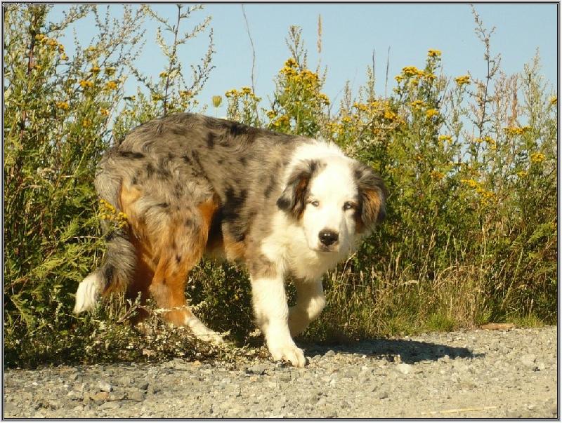 Foto: tys m� volala ?