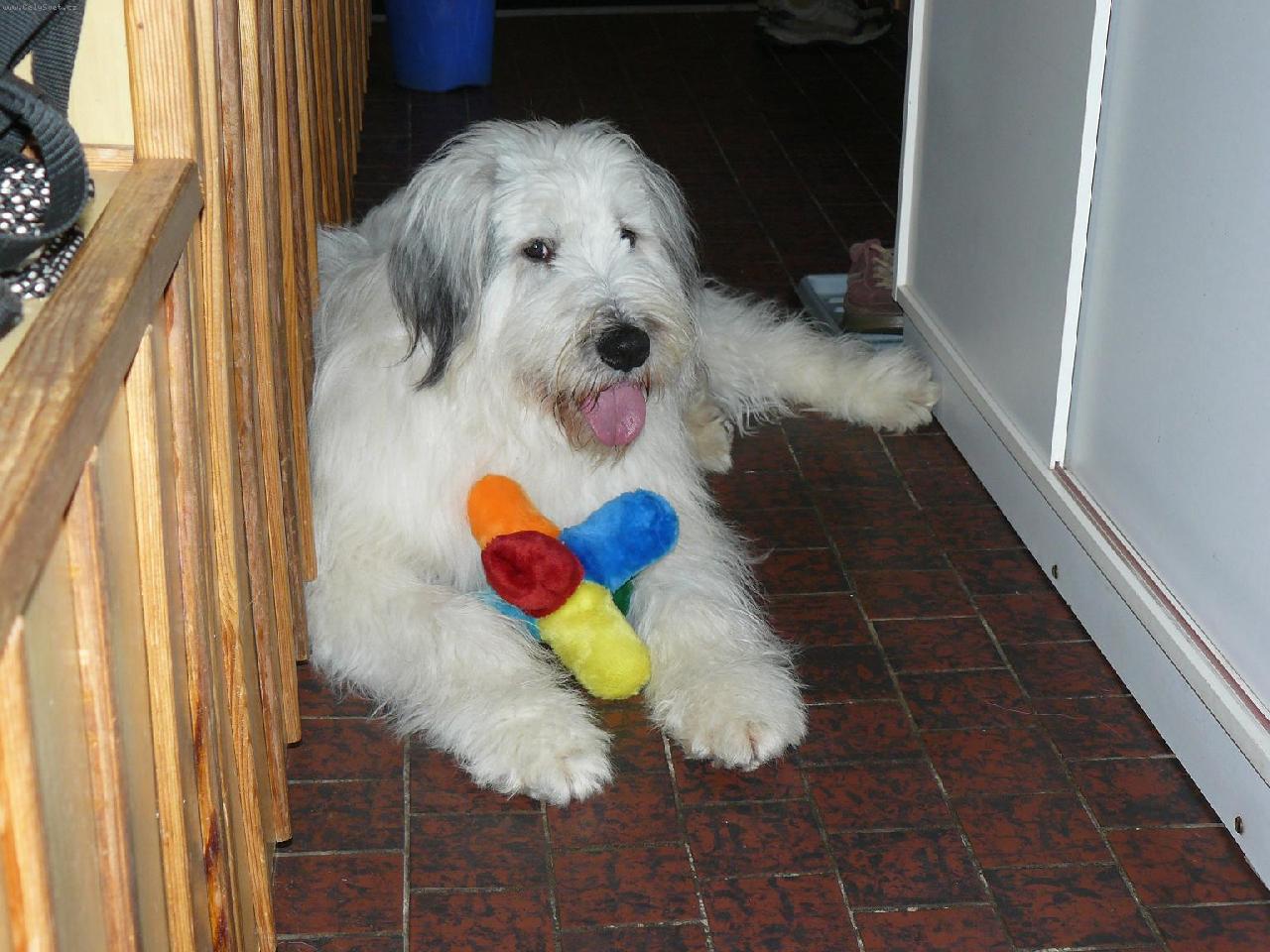 Foto: Na�e Kar�a