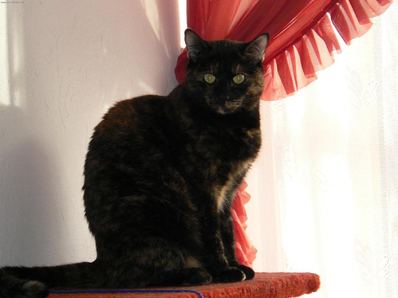 Foto: Moje ���a S�ra-chlup��:)