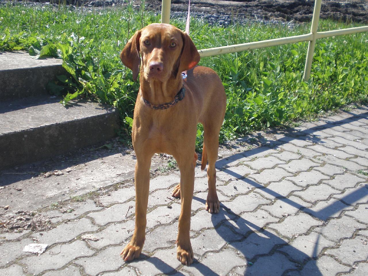 Foto: Daffinka :o*-na koupali�ti