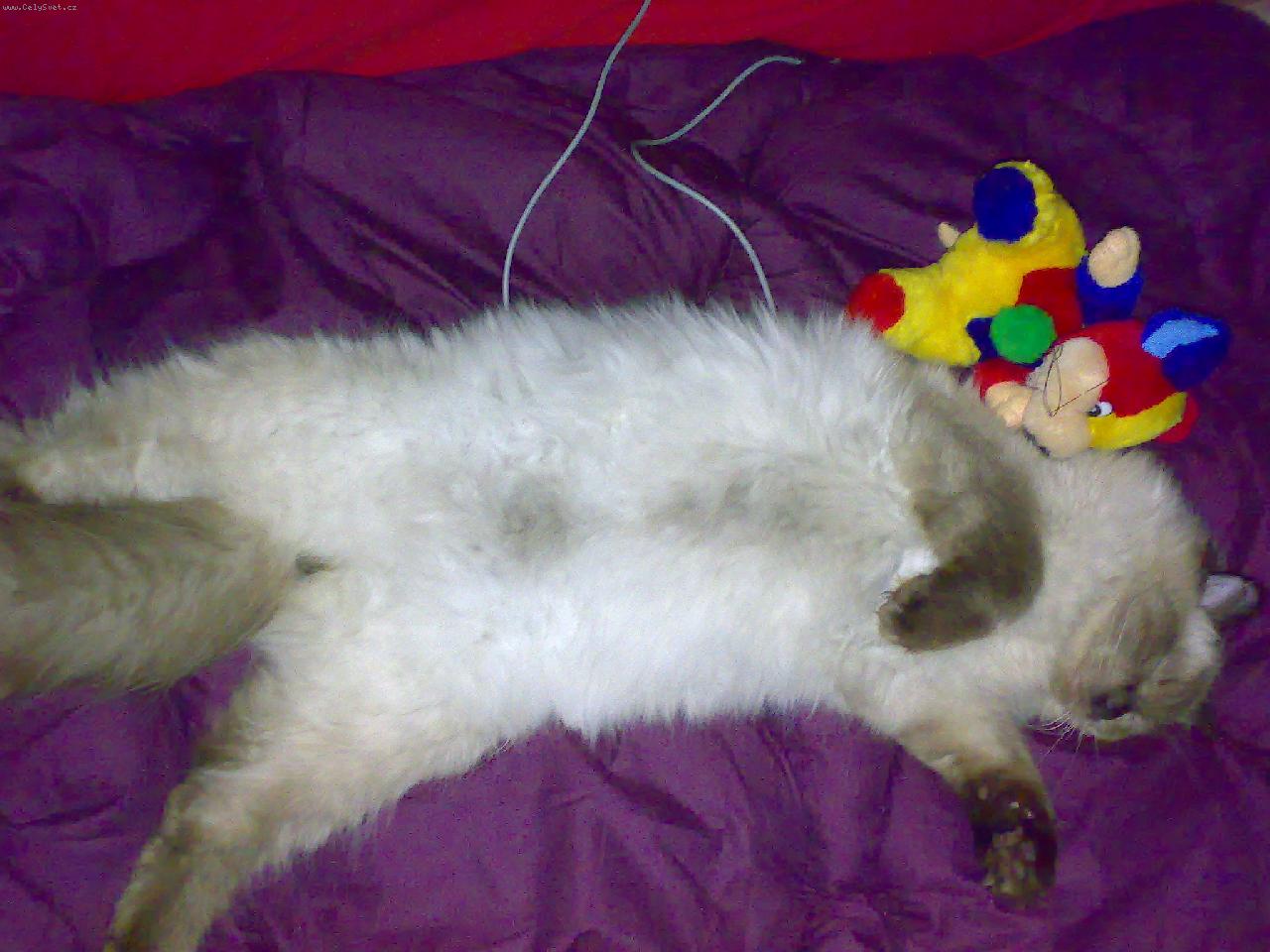 Foto: matysek-odpoc�van�