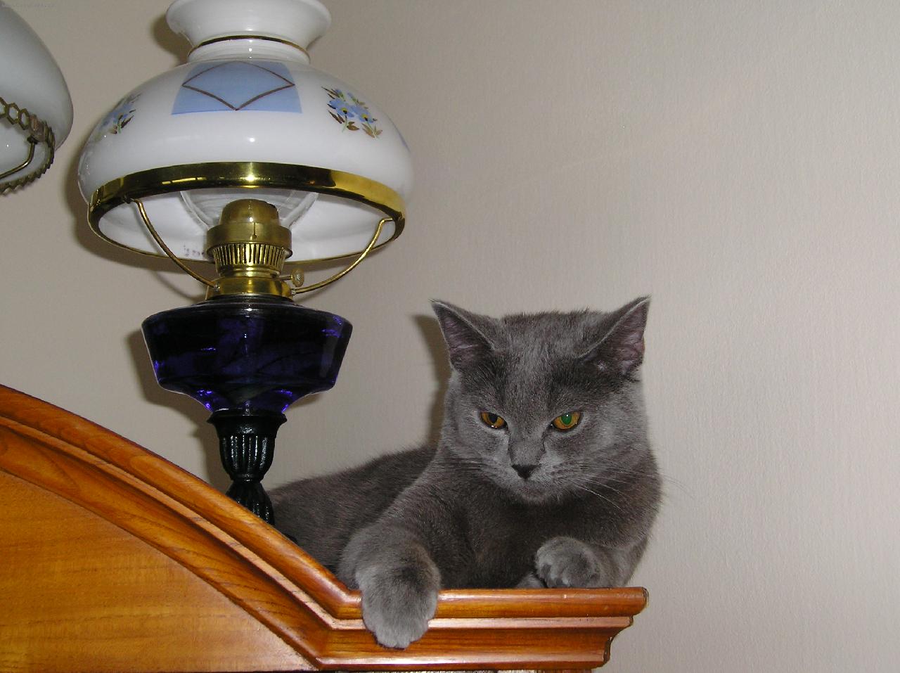 Foto: to je pohodi�ka