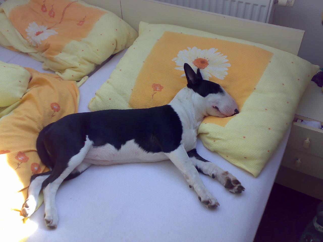 Foto: Ag�ta-Odpo��v�m