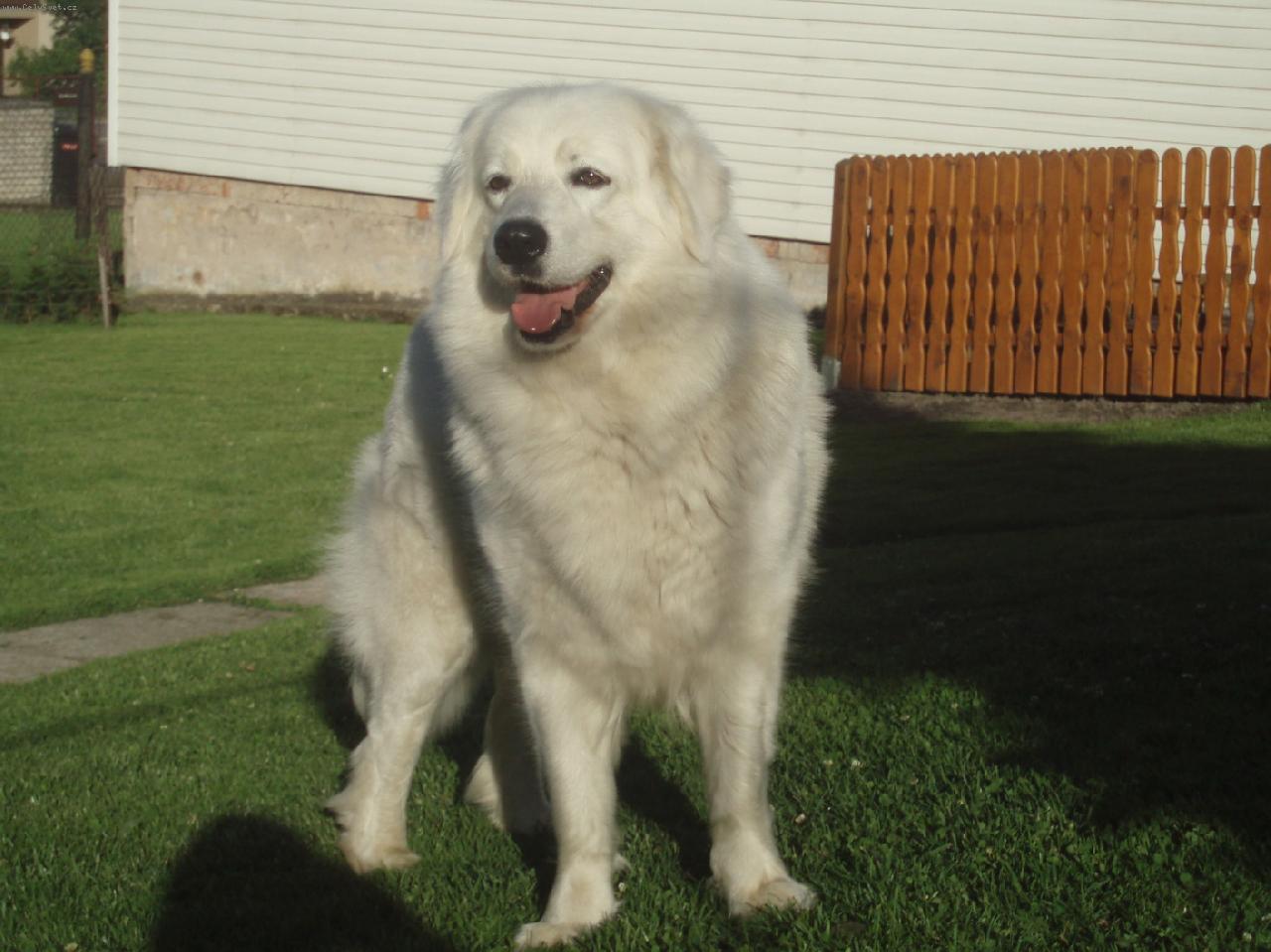 Foto: Ascha-pr�v� dva roky