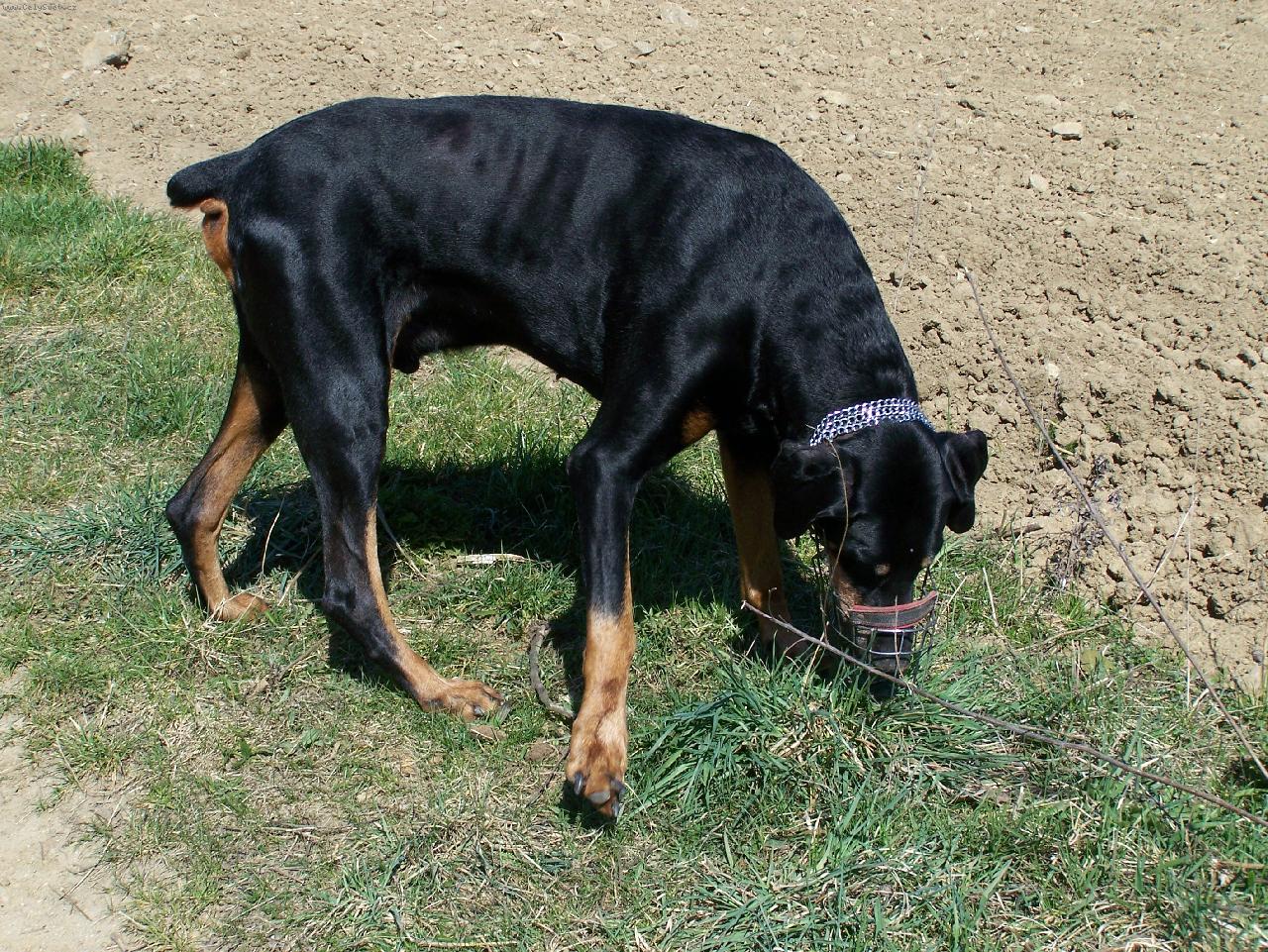 Foto: Kde ta my�ka je