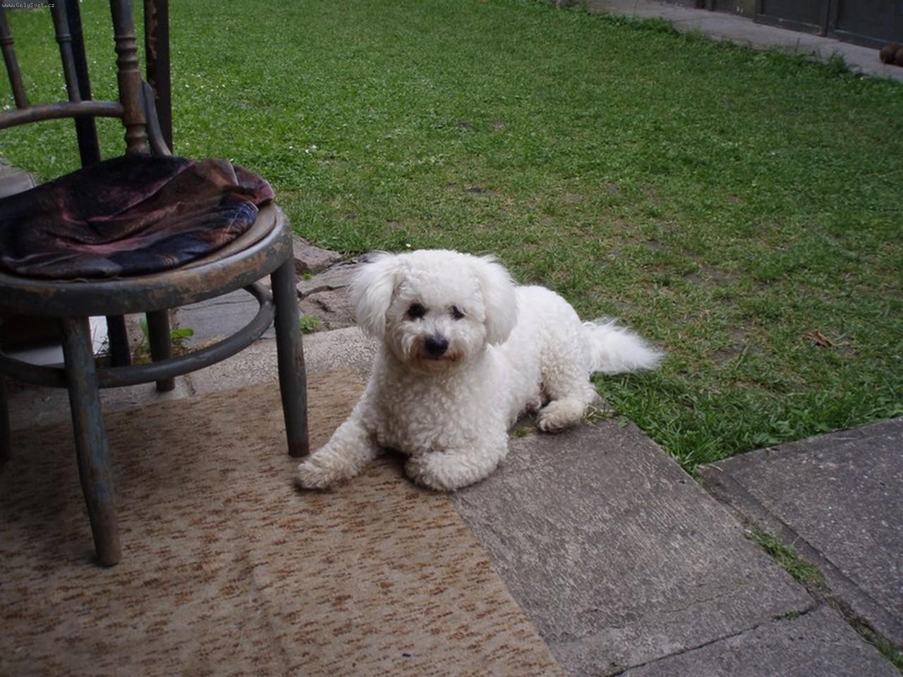 Foto: N�e zlato Endy