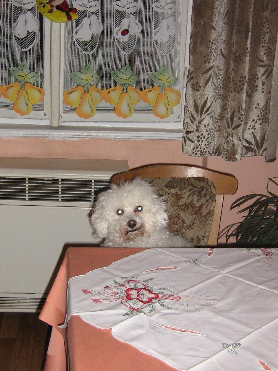 Foto: �ek�n� na ve�e�i