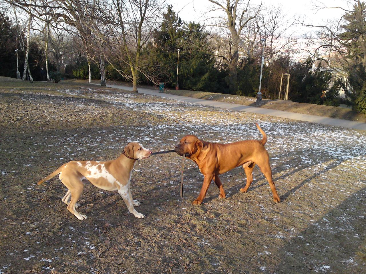 Foto: Gorb�k, s kamar�dem Artusem