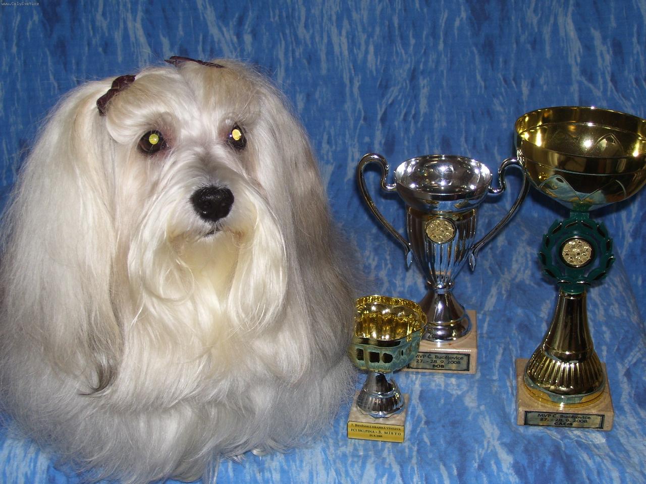 Foto: Havansk� ps�k-J� a moje trofeje