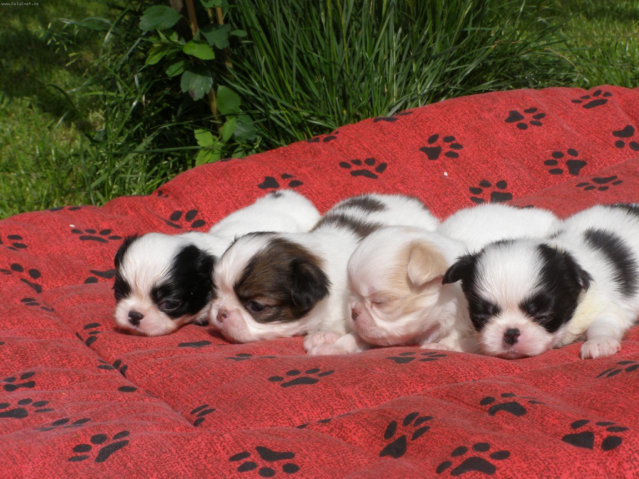 Foto: �ty��ata