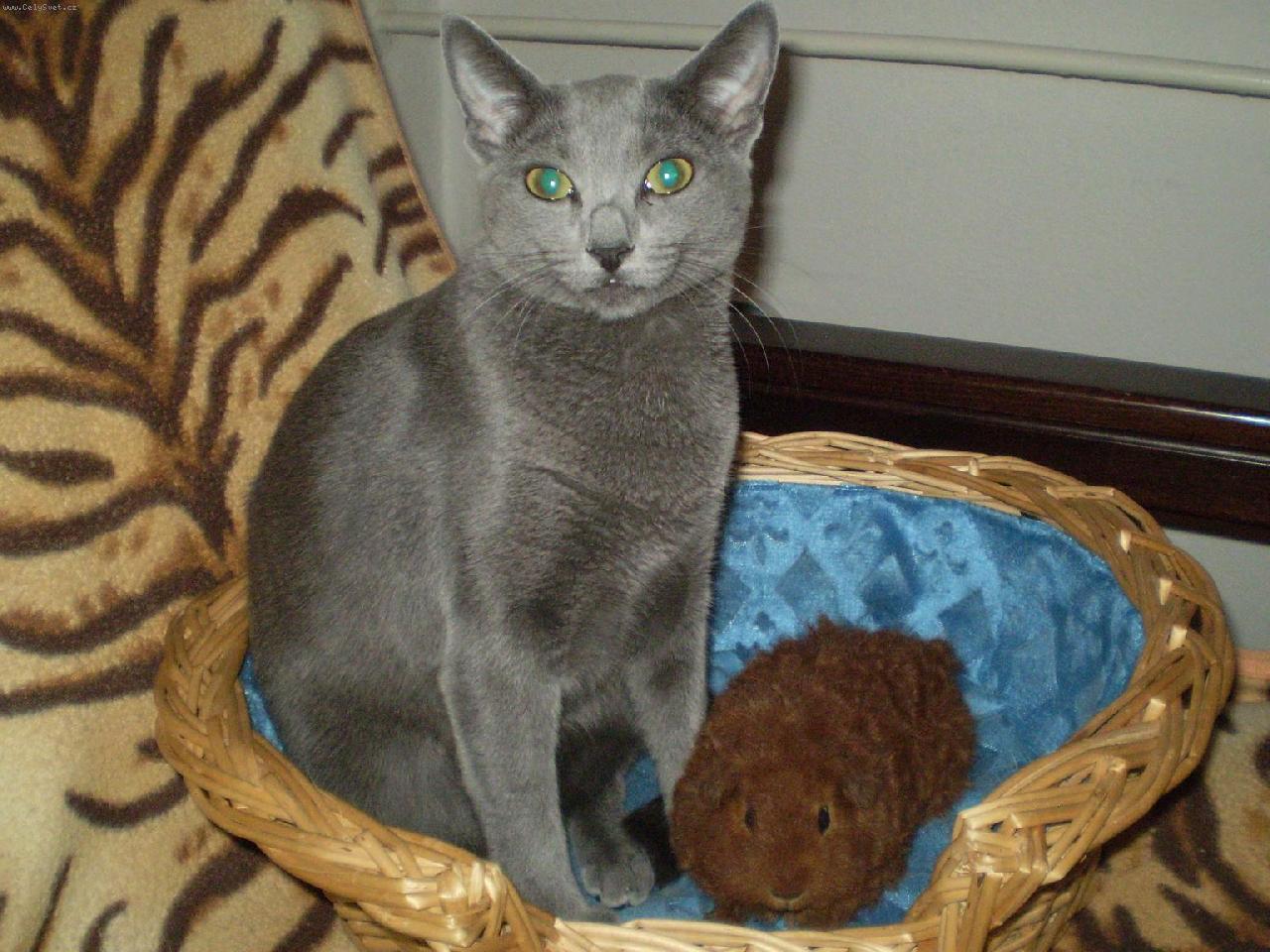 Foto: K�mo�i-Leont�nka a Imas�k