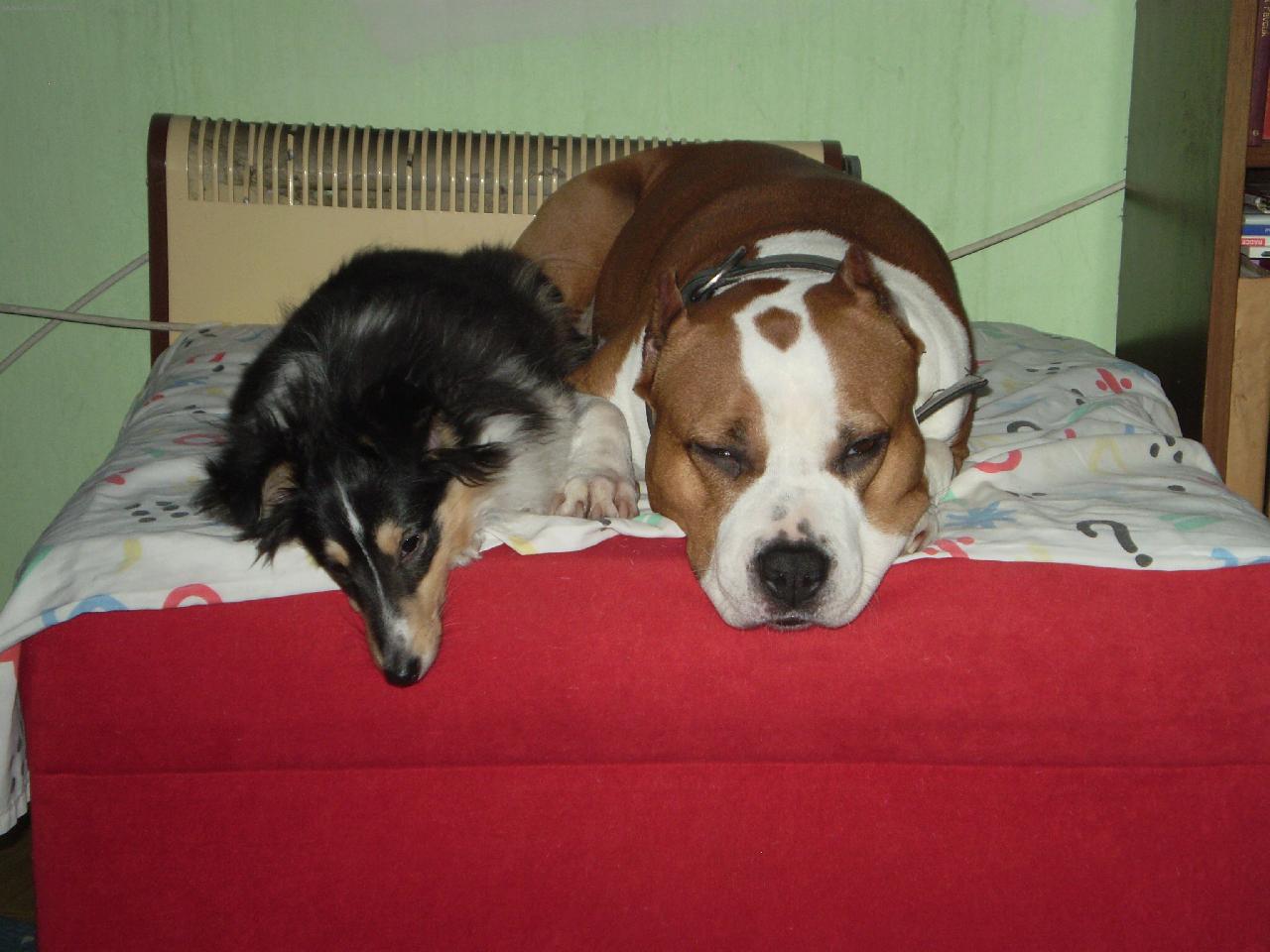 Foto: Pozor jsem bojov�