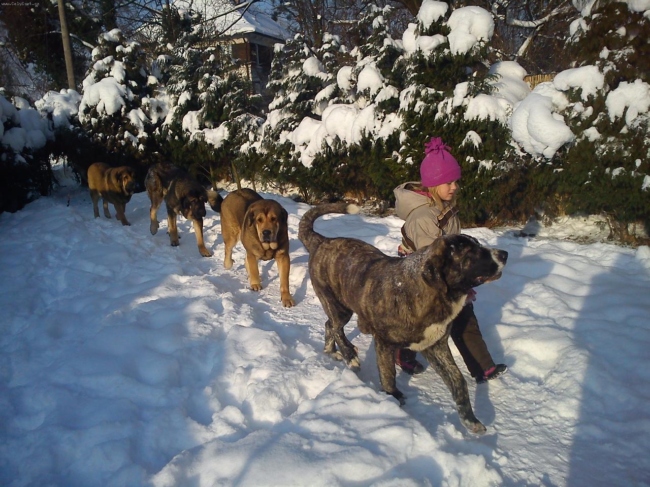 Foto: A p�kn� za sebou....-Sab�a a jej� parta