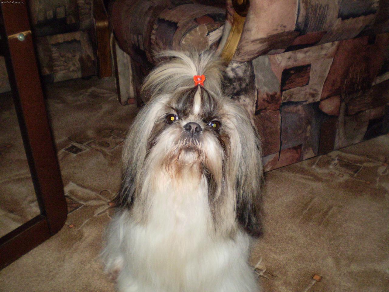 Foto: Nelinka-modelka