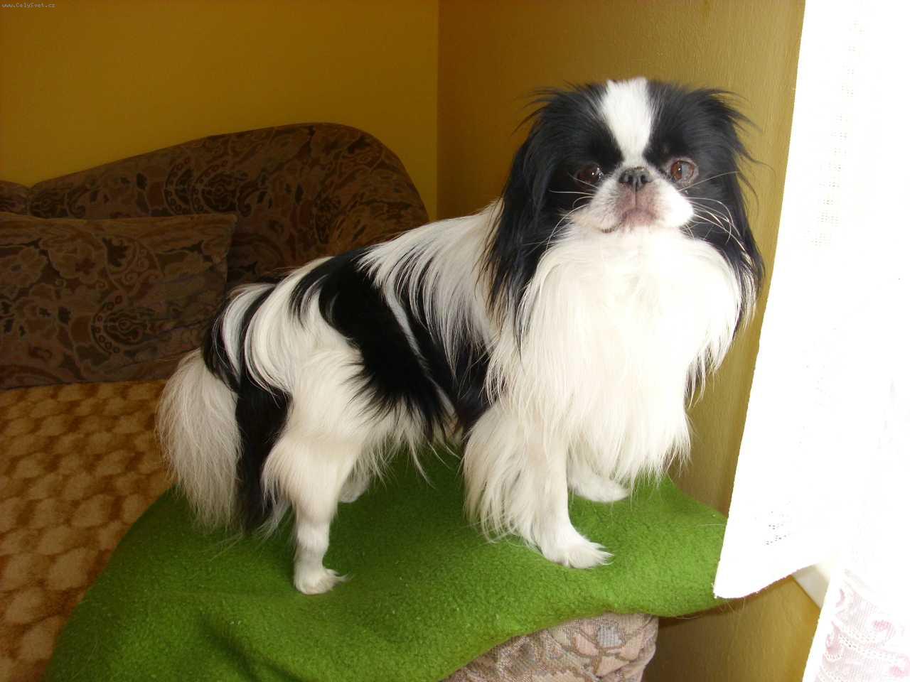 Foto: �ikou�ek-obl�ben� m�ste�ko