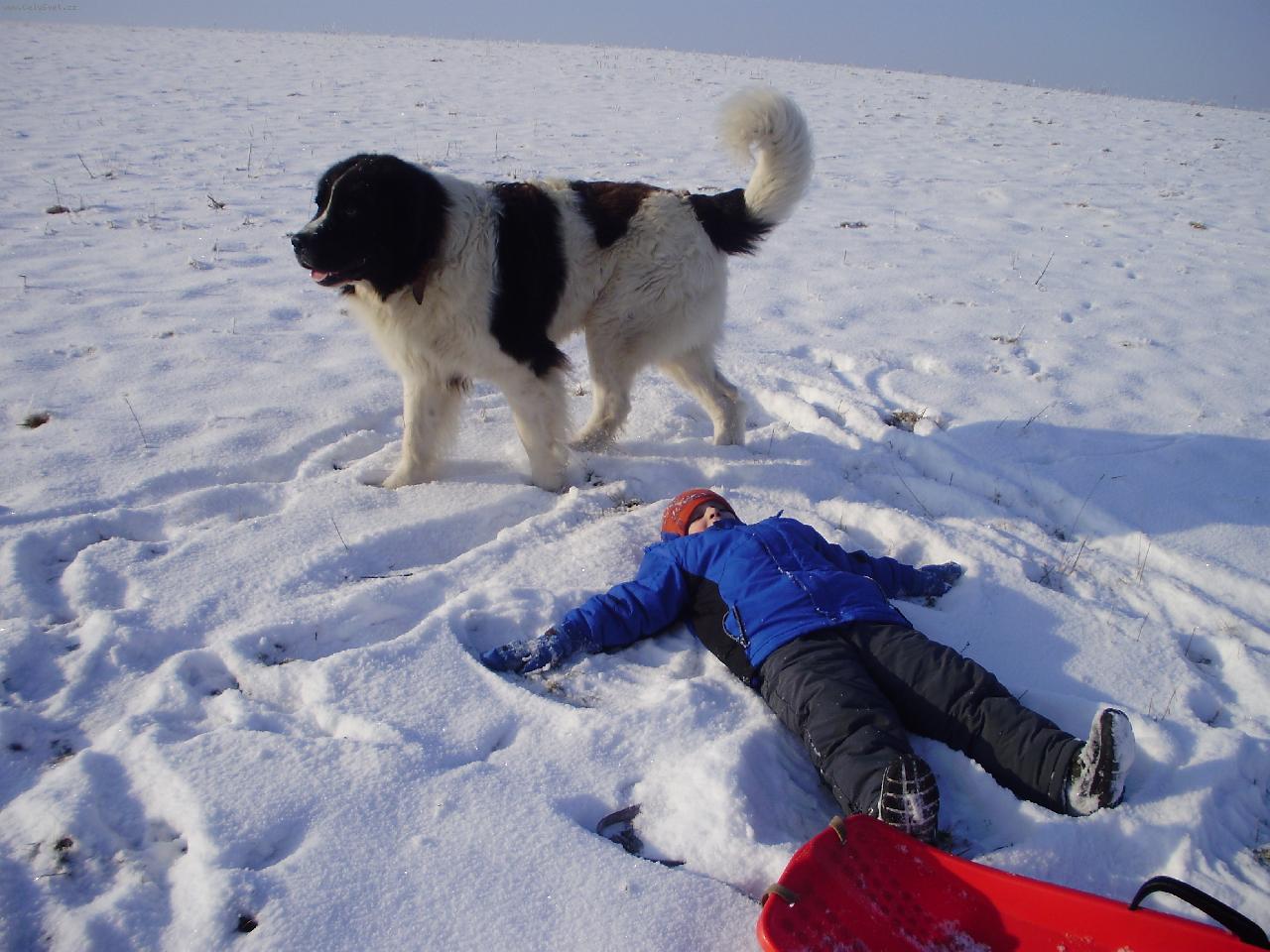 Foto: Bastienek formenos gil