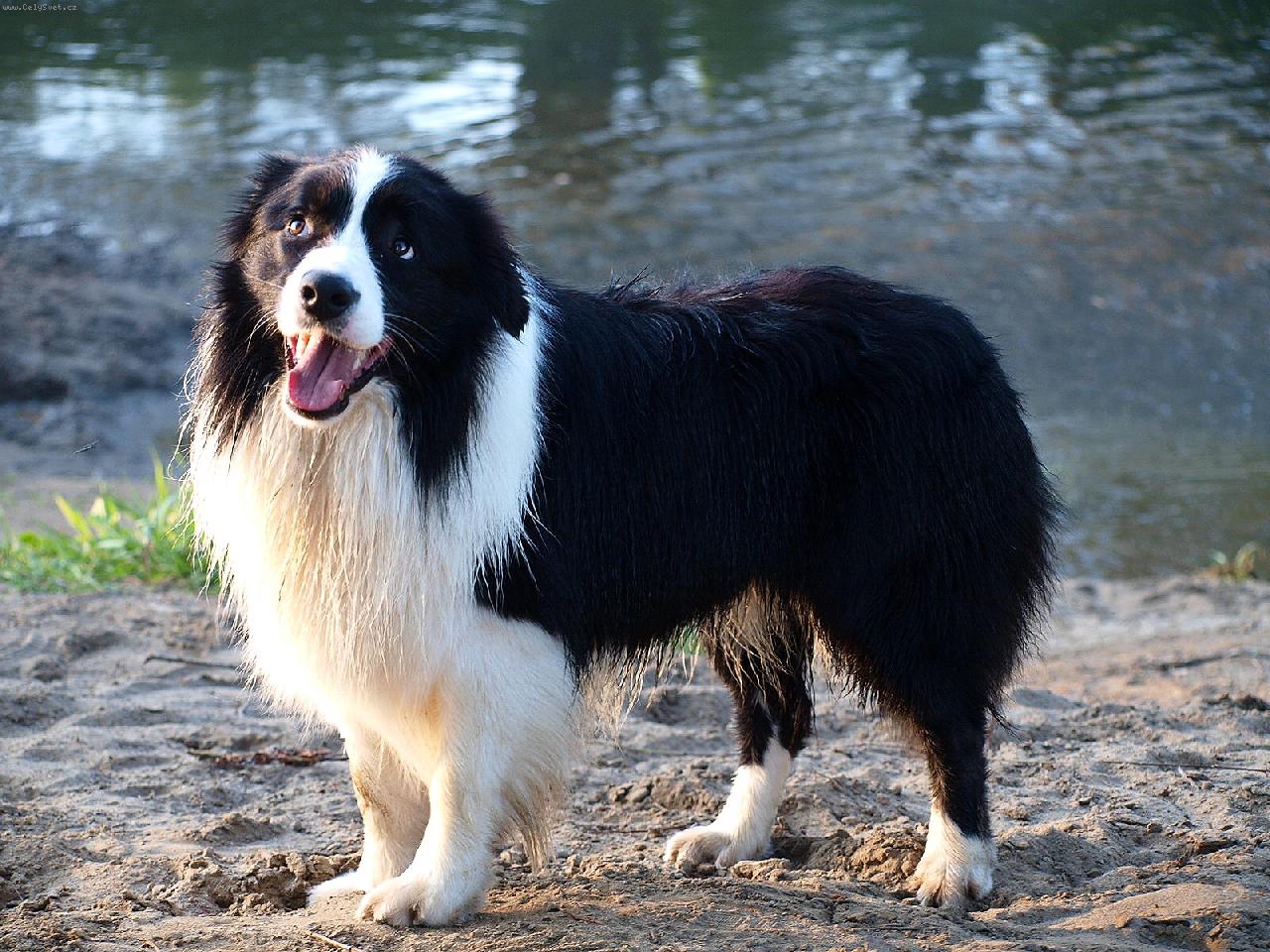 Foto: Vysm�tej Apollo-Vysm�tej Apollo