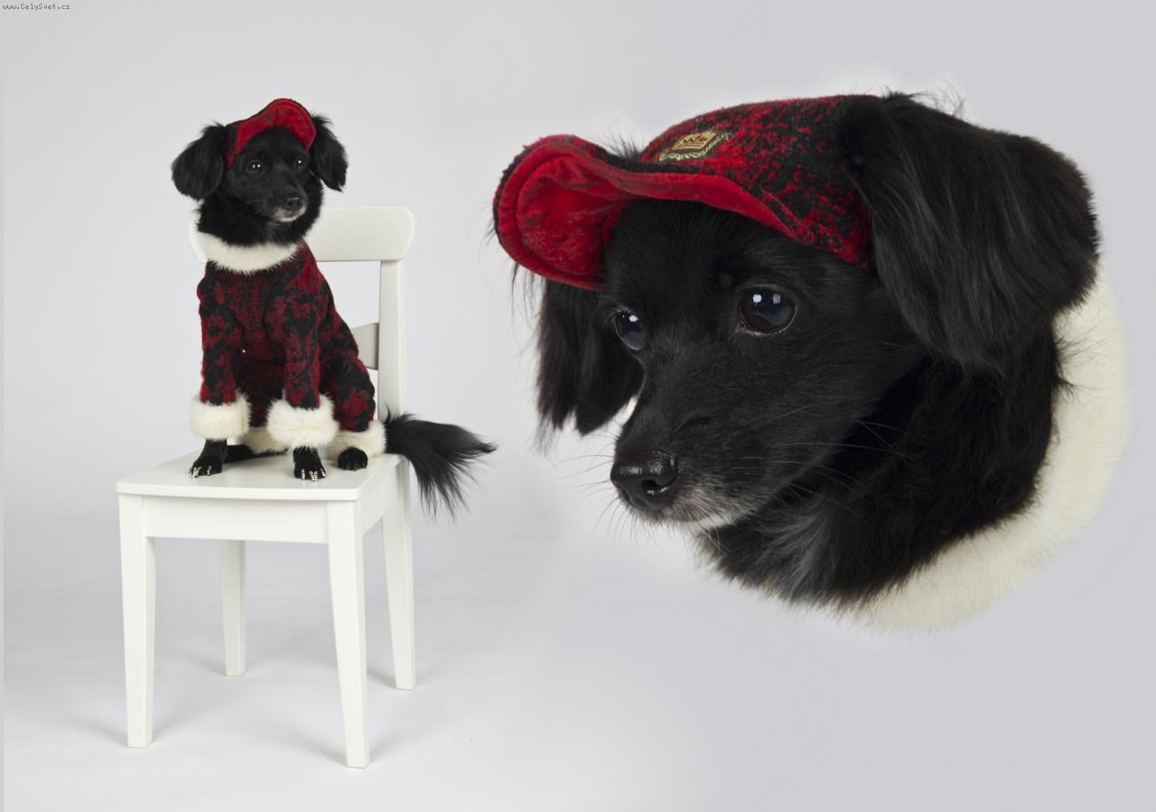 Foto: Julietta-Моя любовь