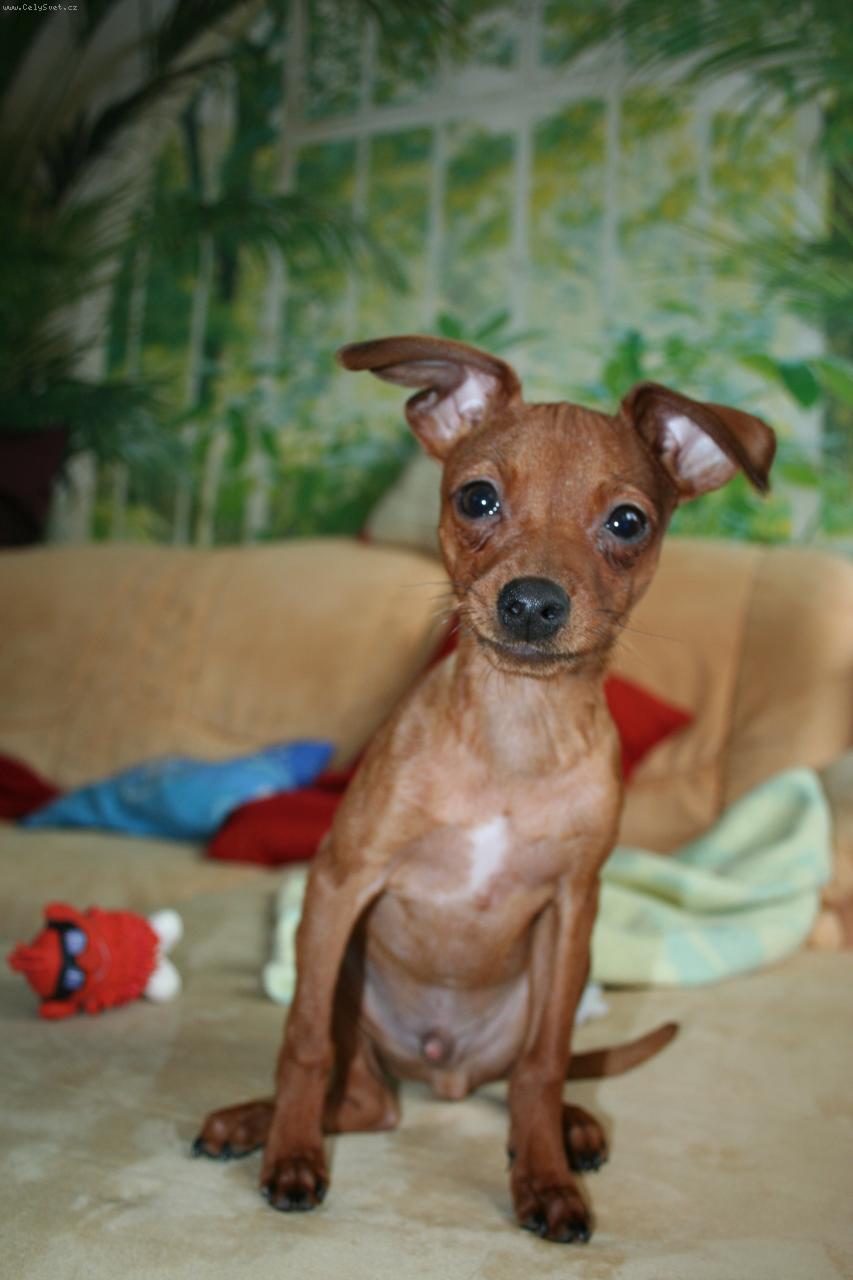 Foto: Riki