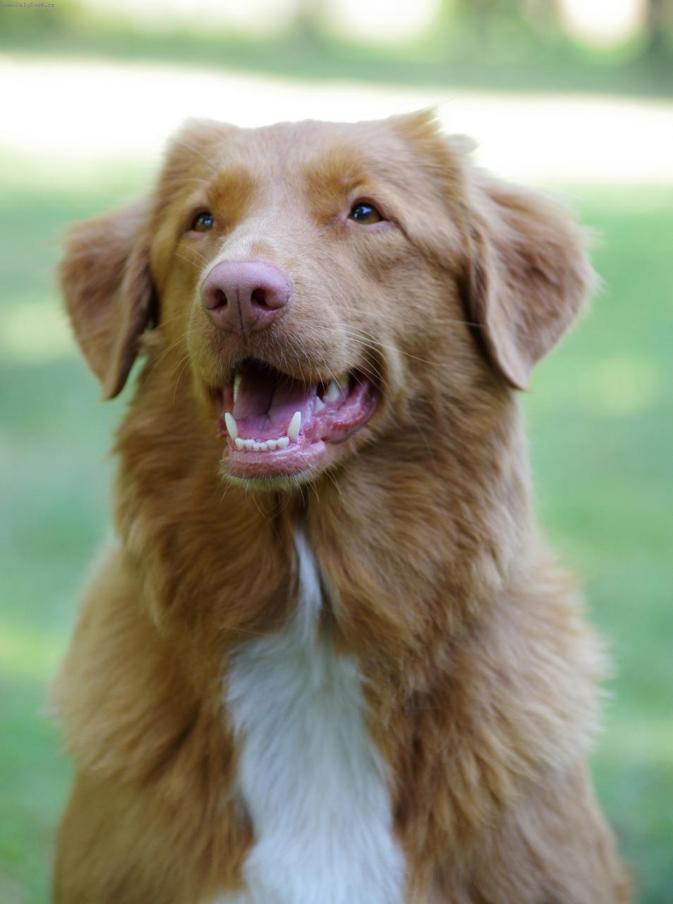 Foto: Romy Rudolfovsk� sk�la - B�ra