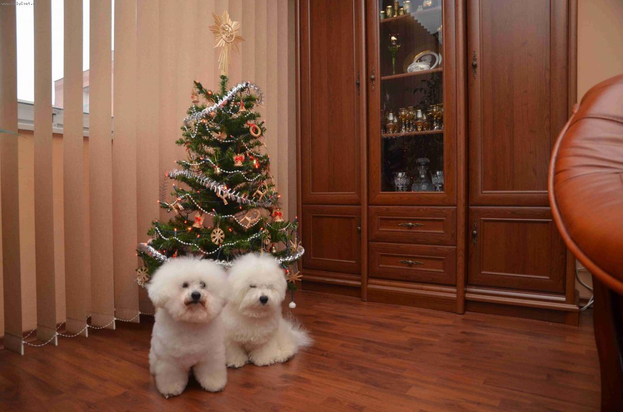 Foto: Bi�ko a Batuly