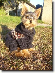 a je�t� jednou v sed�....