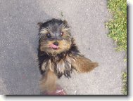 dej mi n�jakou dobr�tku!!!