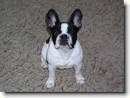 Nejkr�sn�j�� pohled na sv�t�